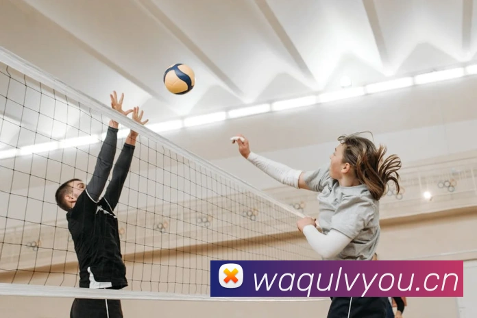 9游会j9官网登录入口平台生态图