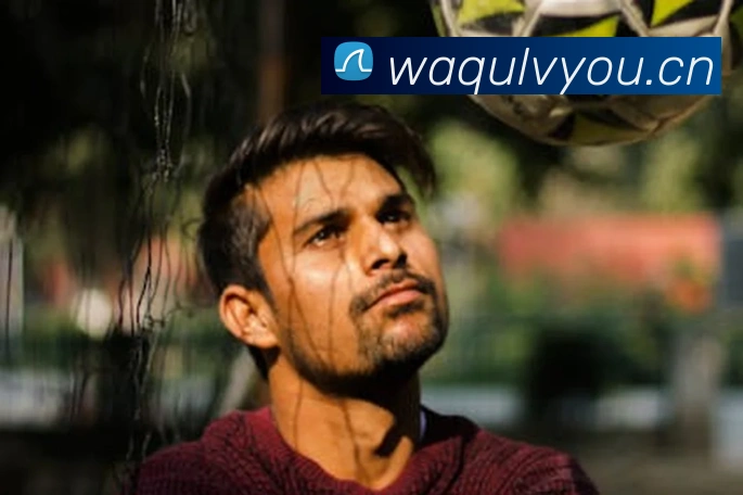 9游会j9官网登录入口APP 封面图